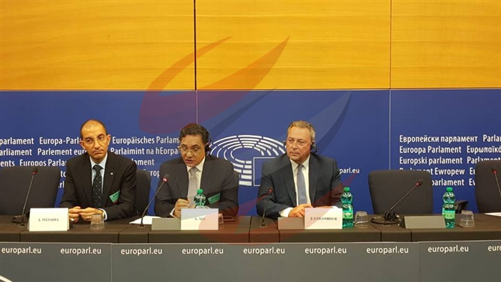 عبدالرحيم علي يجيب عن أسئلة نواب البرلمان الأوروبي