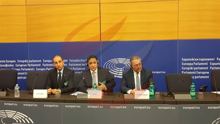 عبدالرحيم علي يجيب عن أسئلة نواب البرلمان الأوروبي