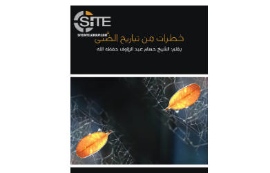 «القاعدة» يُحرِّض المسلمين على حكامهم