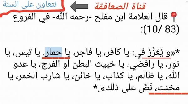 «الصعافقة».. الفتنة التي ضربت «المدخلية» في مقتل