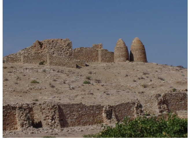 دولة الدراويش الصومالية.. حروب «المجنون» براية الصوفية