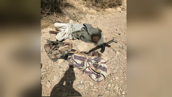 ناصر أبو زقول