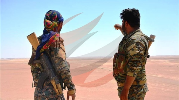 قوات مجلس دير الزور