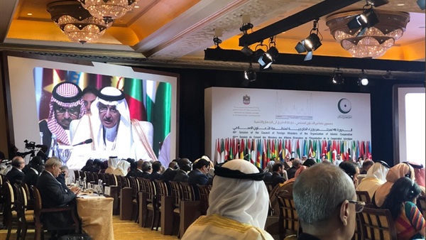 الدورة الـ46 لمجلس