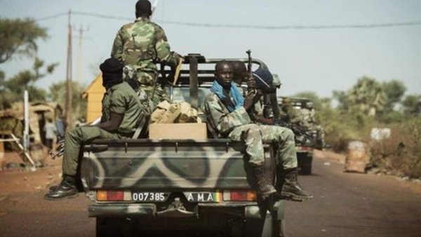 الجيش المالي