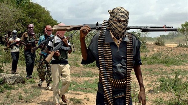 التنظيمات الإرهابية