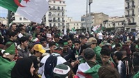 لصوص الحراك الشعبي..