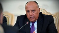 وزير الخارجية المصري: