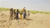 الجيش اليمني يسقط