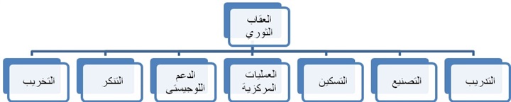 مستقبل التنظيمات