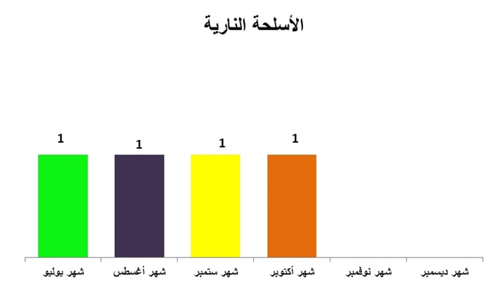 مستقبل التنظيمات