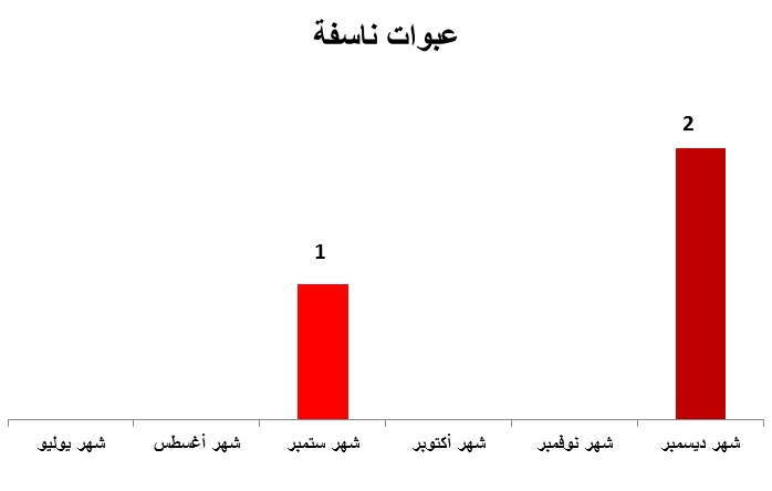 مستقبل التنظيمات