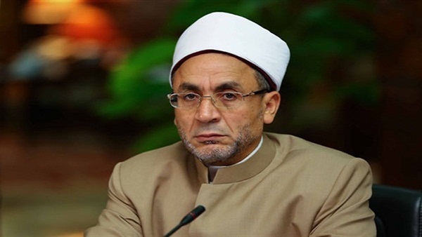 الدكتور محيى الدين