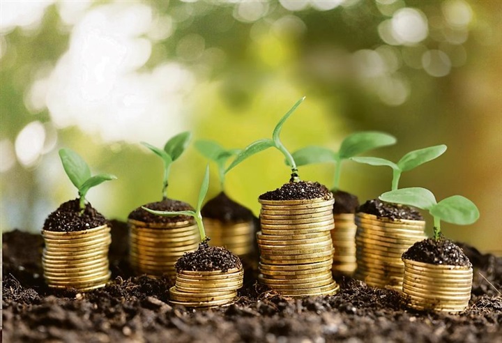  «زكاة الفطر».. الفريضة