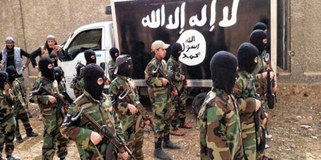 «رسالة قاعدية مجهولة»: