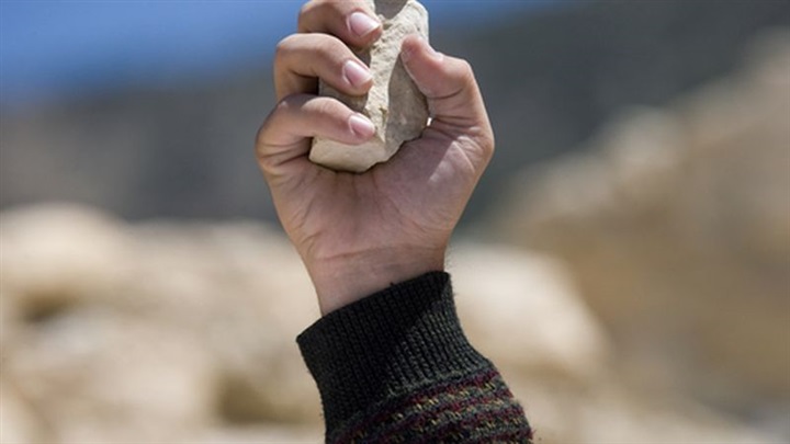 «ذاكرة المرجع» 13