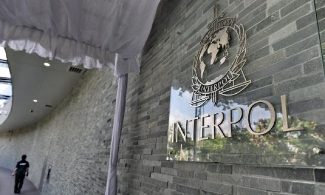 «ذاكرة المرجع» 13