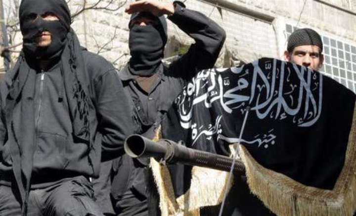 كيف ترى التنظيمات