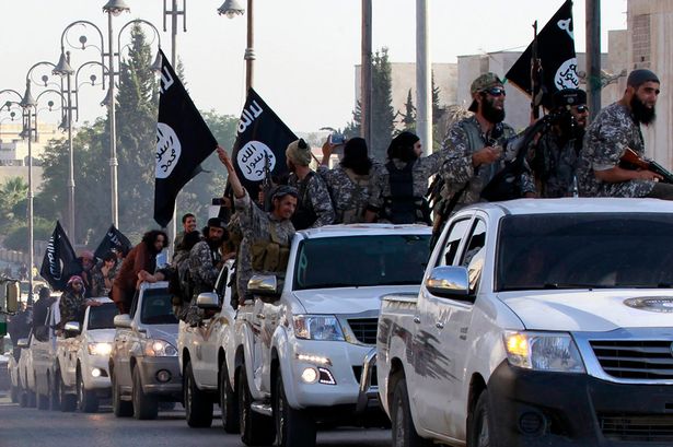 فصائل التسوية تعود