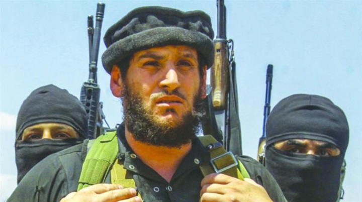 محمد الشامي