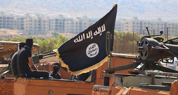 الذئاب المنفردة..