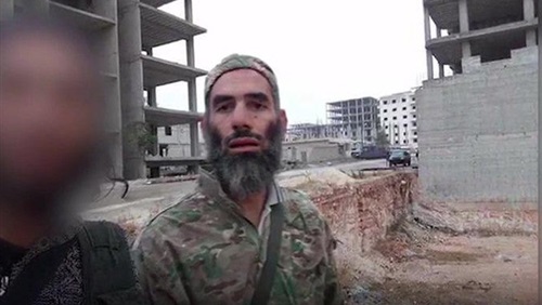 استخبارات التنظيمات