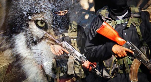 استخبارات التنظيمات