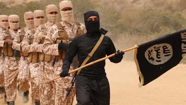 «السمكة في الصحراء»..