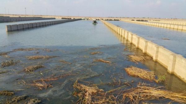 الأزمة البيئية بـ«البصرة»..