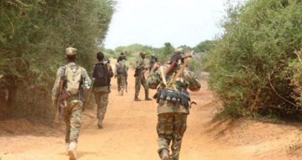 بعد طرد عناصرها من