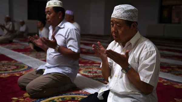 اهتمام الجامعات اليابانية