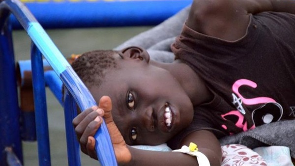 بعد حظر تجارة الحطب..