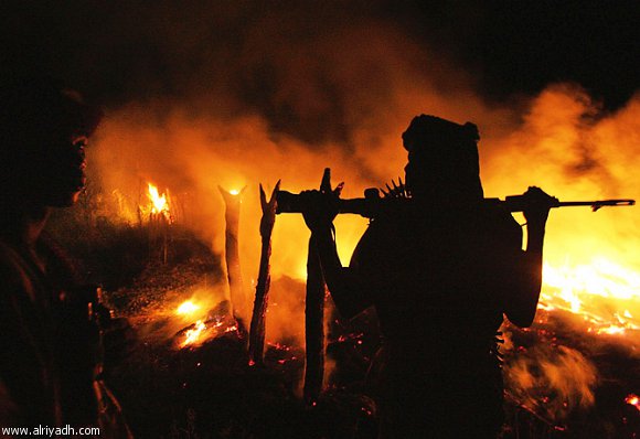 مرصد الإفتاء: التنظيمات