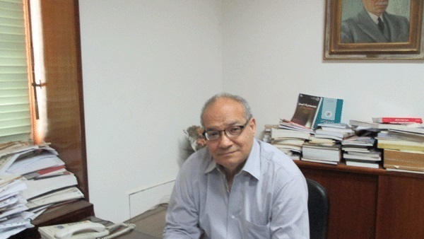 سعيد اللاوندي، الخبير