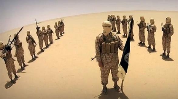 الشيشان تسبح ضد التيار