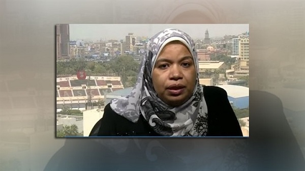  الدكتور أميرة عبدالحليم،