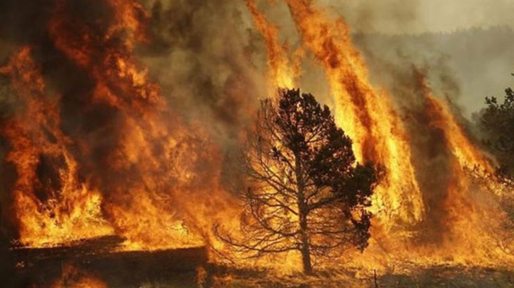 جولة الصحافة 22 مايو|نائب