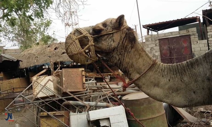 جولة الصحافة 25 يونيو|