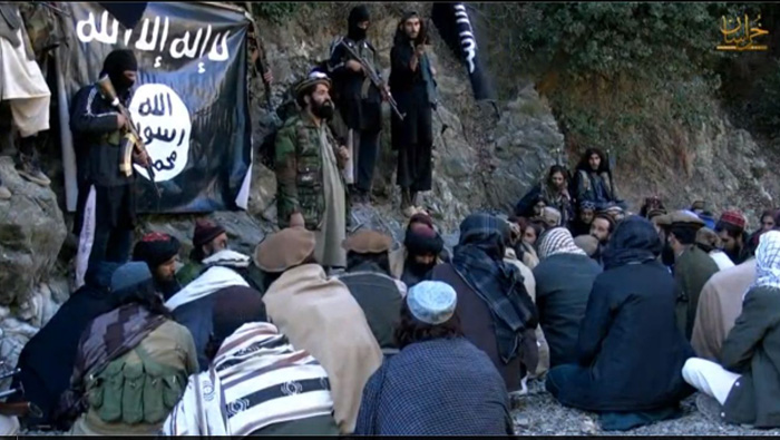 «الخشب الأفغاني»..