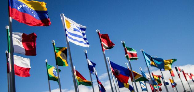 دراسة تكشف دور المنظمات