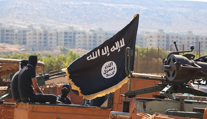 ذئاب تائهة في الصحراء