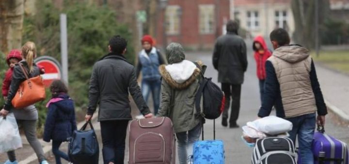 6 برامج أوروبية لتأهيل