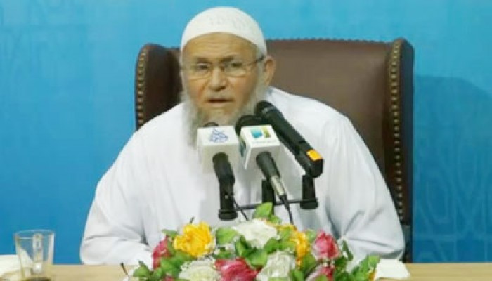 فوزي السعيد.. الأب