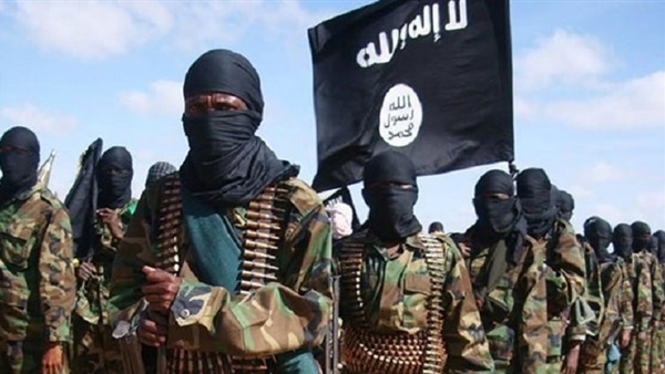 جرذان يتسلقون الجبال..