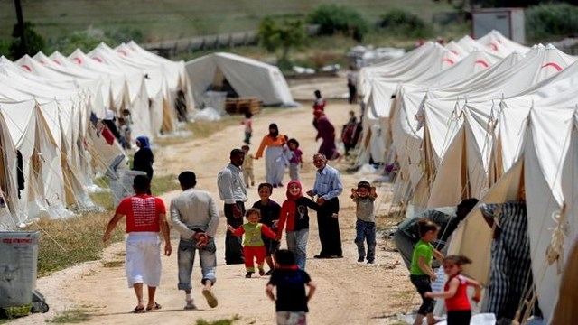 القرصان.. أردوغان