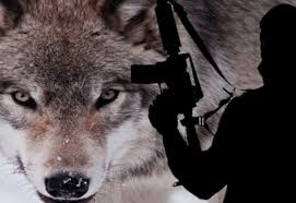 دماء في «نيس».. إرهاب