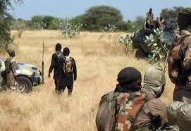 القفز من المقلاة