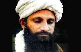 «تحفيز الخلايا»..