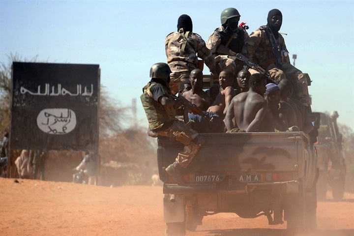 تحليل نشاط التنظيمات